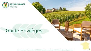 Guide Privilèges 2026 Pdf