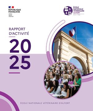 Rapport d'activités 2026