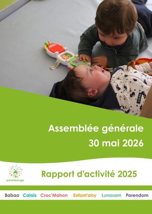 Rapport D'activité
