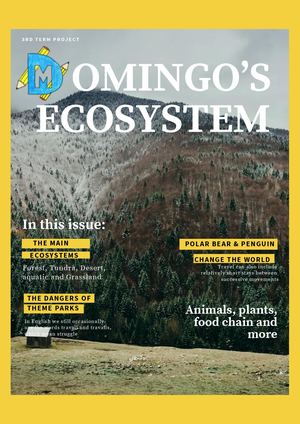 Magazine (1)
