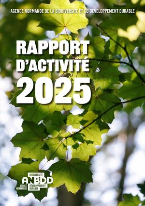 Rapport d'activité ANBDD 2025
