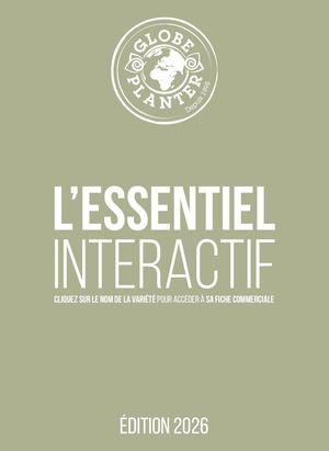 L'Essentiel Globe Planter 2026