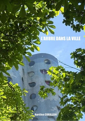 Rendu Art Pla Aurélien Corolleur L2s4