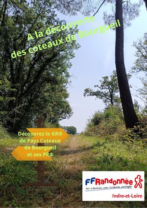 Coteaux De Bourgeuil (1)