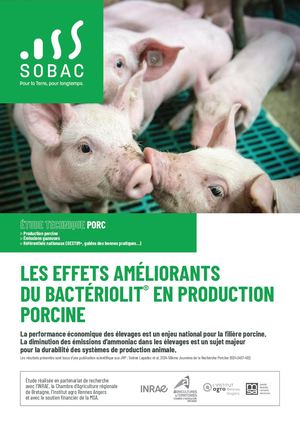 Etude_PORC_Bacteriolit4