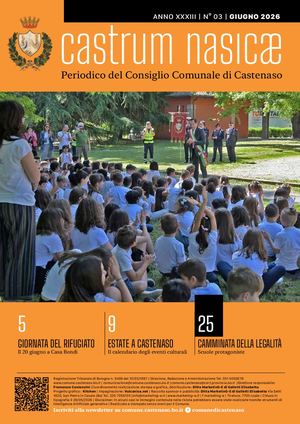 Castrum Nasicae 03