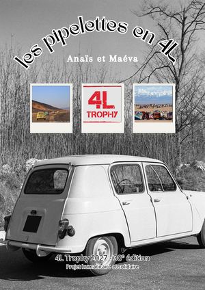Dossier De Sponsoring Les Pipelettes