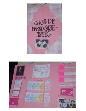 Lapbook Español Perro Siberiano Alison Barraza Marrugo