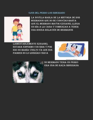 Ojos Del Perro Los Siberiano