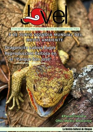Revista Jovel Junio 2026