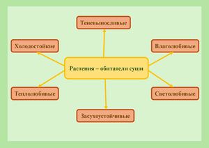 Инфографика