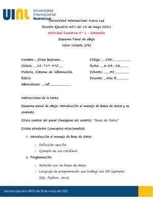 Actividad Sumativa N 1 Esquema Panal De Abeja