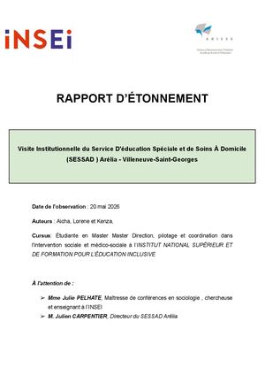Rapport D’étonnement