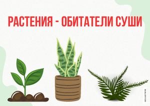 Растения обитатели суши