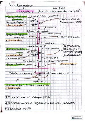 Manual Bioquímica Mariana Icaza