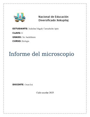 Informe