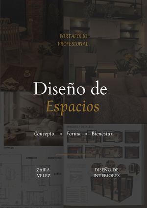 Portafolio Zv