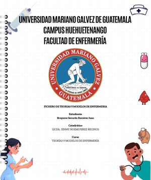 Fichero De Teoría Y Modelos De Enfermeria