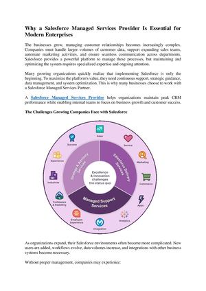 Salesforce Managed Services Provider
