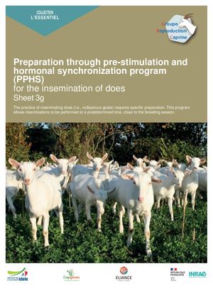 Fiche Grc 4g Préparation Pré Stimulaton Pg Hormonal Synchro (Pphs) Anglais