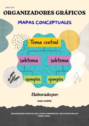 Organizadores gráficos, mapas conceptuales.