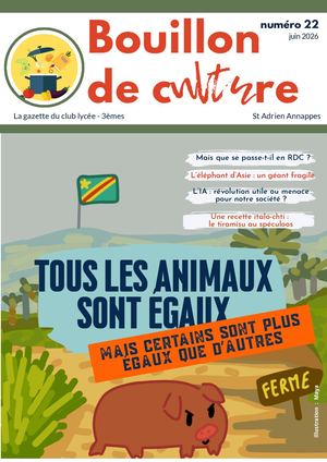 Bouillon De Culture N°22