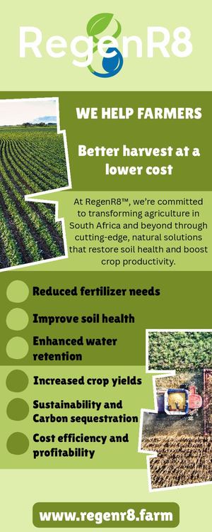 Regenr8 - Infographic (June 2026)