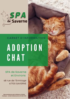 Carnet Information Adoption Chat