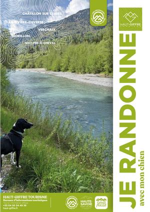 Je Randonne Avec Mon Chien Ete 26 Fr