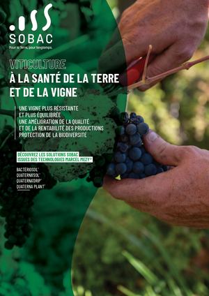 Temoignages Vignes 2026