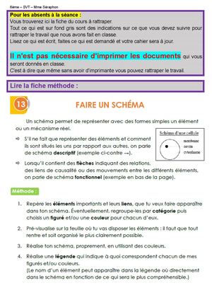Activité Schématisation Pour Ent