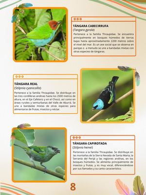 Guía De Campo 1