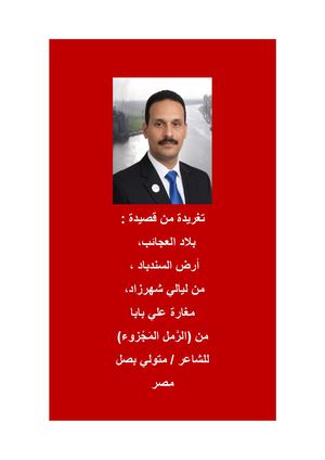 تغريدة من قصيدة ( بلاد العجائب ) للشاعر متولي بصل