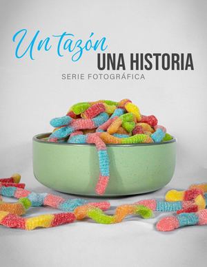 Folleto Proyecto Final