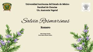 Presentación Diapositivas Proyecto Naturaleza Plantas Flores Orgánico Crema Lila