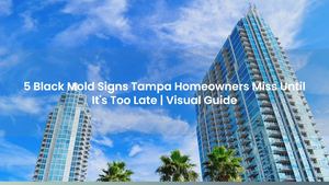 5 Black Mold Signs Tampa Homeowners Miss Until It's Too Late | Visual Guide
