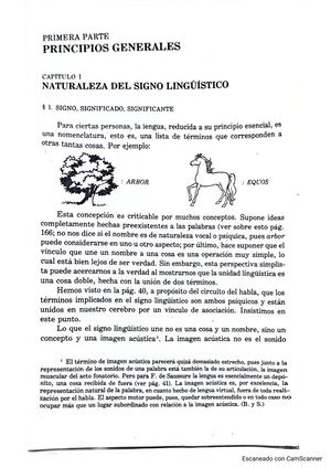 Signo Linguistico