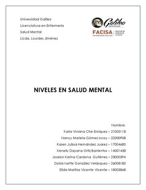 Niveles Salud Mental