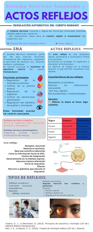 Infografía Anato Sna (1)