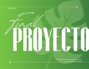 Proyecto Final