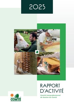 Rapport D'activite Cigc 2025