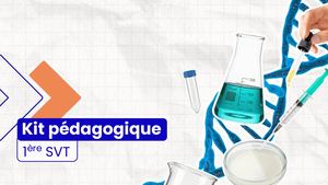 KIT PEDAGOGIQUE Pptx