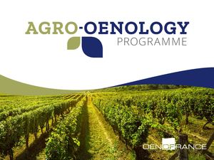 OF - Programmes Agro-Oeno 2026 (EN)