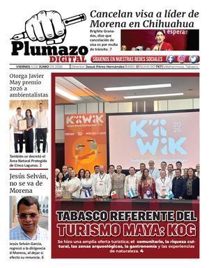 Plumazo Digital 767