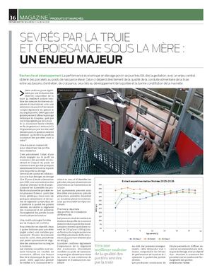 Nutréa - Sevrés par la truie et croissance sous la mère : un enjeu majeur