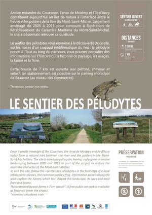Découverte des Pélodytes  Pontorson Beauvoir