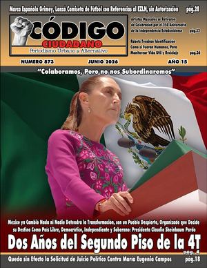 CODIGO CIUDADANO 873