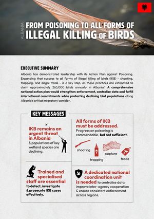 Albania Factsheet Aos V8 0903