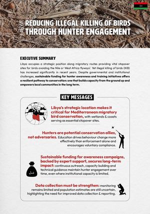 Libya Factsheet Lsb V4 3103