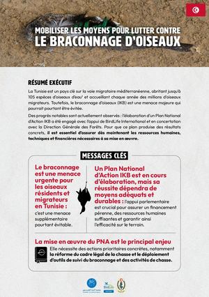 Tunisia Factsheet Aao V3 1105